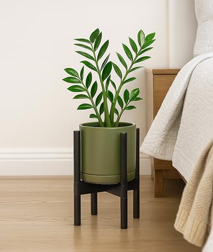 Ceramic Pot with Ebony Wood Stand (8 Inch / Olive Pot + Ebony Stand)
