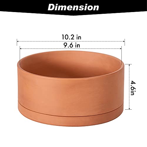 Terracotta Shallow Planter Pot with Saucer (10 Inch)
