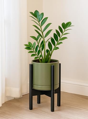 Ceramic Pot with Ebony Wood Stand (8 Inch / Olive Pot + Ebony Stand)
