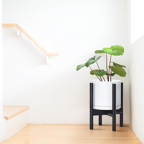 Ceramic Pot with Ebony Wood Stand (8 Inch / White Pot + Ebony Stand)