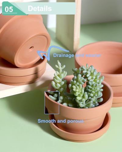 3.7 Inch Terracotta Shallow Succulent Pots with Saucers (Carrot / 3.7 Inch)