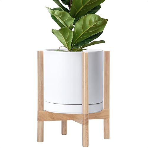 Ceramic Pot with Natural Wood Stand (12 Inch / White Pot + Natural Stand)