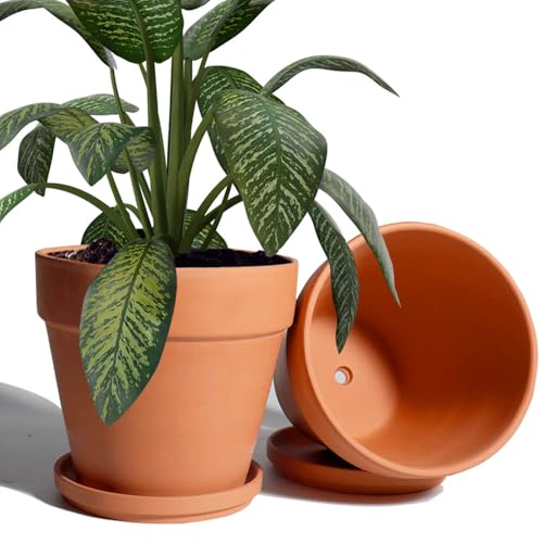 8 Inch Clay Pot for Plant with Saucer (Brown)
