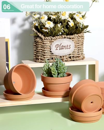 3.7 Inch Terracotta Shallow Succulent Pots with Saucers (Carrot / 3.7 Inch)