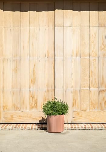 Demi Series Planter (Terracotta / 12 Inch)
