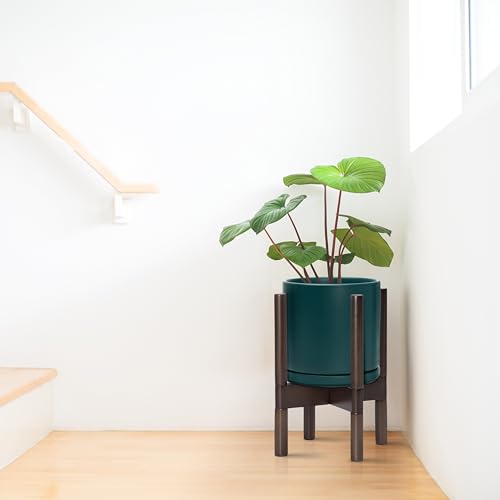 Ceramic Pot with Walnut Wood Stand (8 Inch / Teal Pot + Walnut Color Stand)