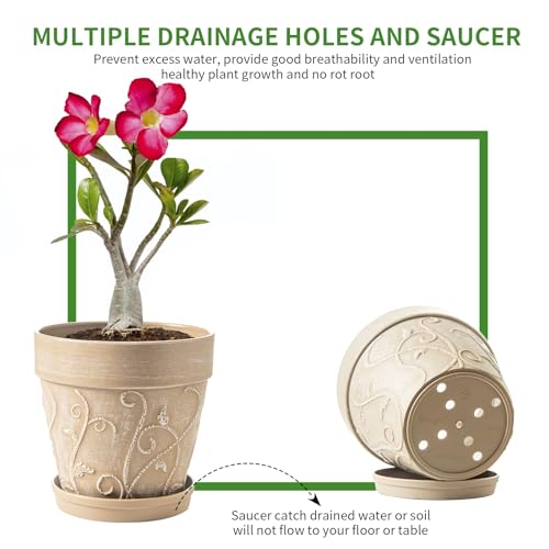 Plastic Plant Pots Indoor with Drainage & Saucer (Undecorated Pottery Color / 8 inch)
