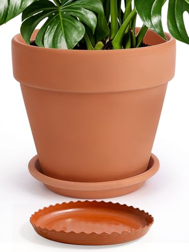 12 Inch Terracotta Pot with Saucer (12 Inch)