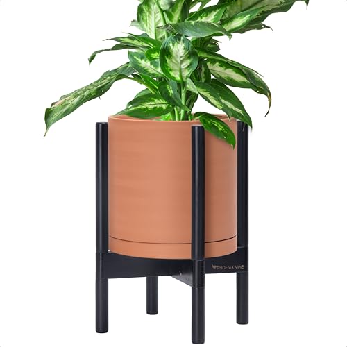 Terracotta Pot with Ebony Wood Stand (10 Inch / Terracotta Pot + Ebony Stand)