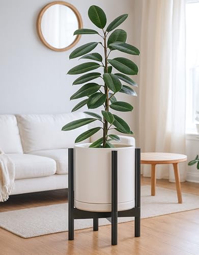 Ceramic Pot with Ebony Wood Stand (12 Inch / Oatmeal Pot + Ebony Stand)
