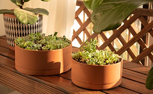 Terracotta Shallow Planter Pot with Saucer (10 Inch)