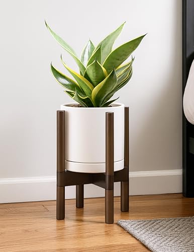 Ceramic Pot with Walnut Wood Stand (8 Inch / Oatmeal Pot + Walnut Color Stand)