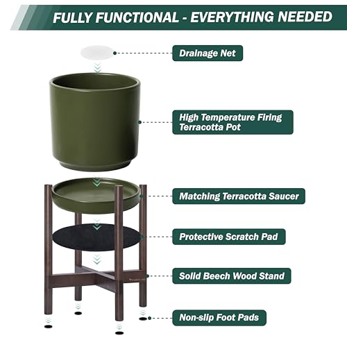 Ceramic Pot with Walnut Wood Stand (8 Inch / Olive Pot + Walnut Color Stand)
