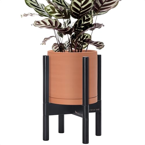 Terracotta Pot with Ebony Wood Stand (8 Inch / Terracotta Pot + Ebony Stand)