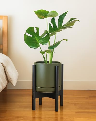 Ceramic Pot with Ebony Wood Stand (8 Inch / Olive Pot + Ebony Stand)