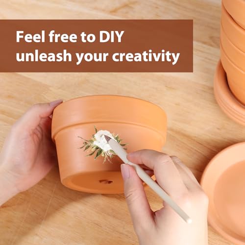 5 Inch Terracotta Shallow Pots Set with Saucer (Shallow 5 inch-6 pcs)