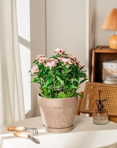 Plastic Plant Pots Indoor with Drainage & Saucer (Undecorated Pottery Color / 8 inch)