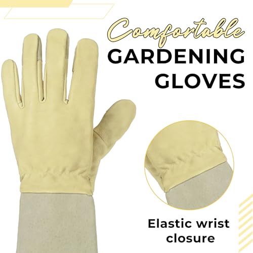 Rose Pruning Gloves for Men Women (Vanilla / X-Large (Pack of 1))
