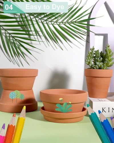 5.7 Inch Terracotta Shallow Succulent Pot (Brown / 5.7 Inch)