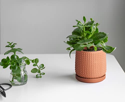 Beaded Terracotta Pot with Saucer (4.3 Inch / Terracotta)
