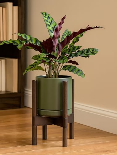 Ceramic Pot with Walnut Wood Stand (8 Inch / Olive Pot + Walnut Color Stand)