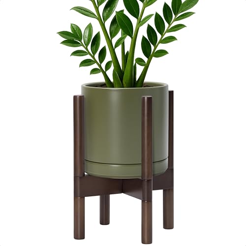 Ceramic Pot with Walnut Wood Stand (8 Inch / Olive Pot + Walnut Color Stand)