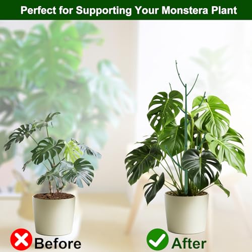 10 Pack Stackable Monstera Plant Support (Dark Green)