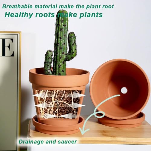 8 Inch Clay Pot for Plant with Saucer (Brown)
