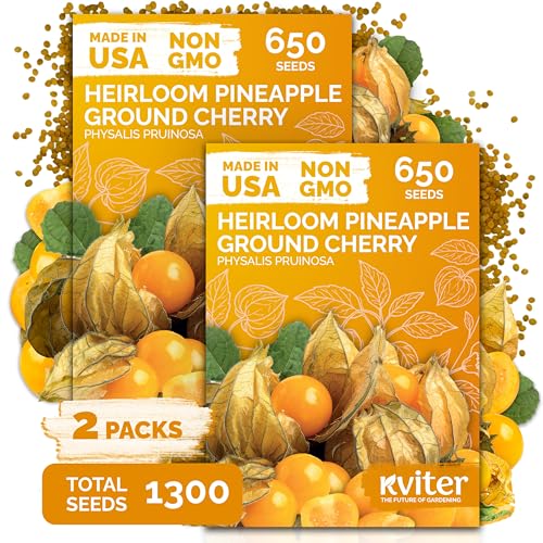 1 300 Pineapple Ground Cherry Heirloom Vegetable Seeds