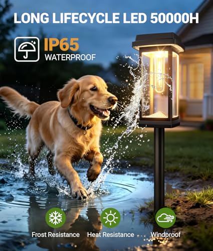 Solar Pathway Lights Outdoor