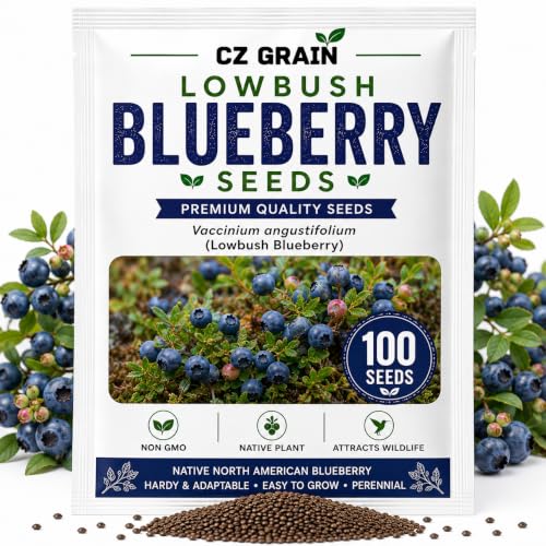 Lowbush Blueberry Seeds for Planting (Lowbush Blueberry)