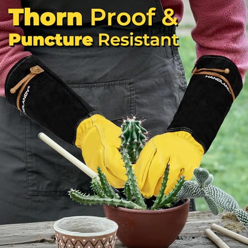 Rose Pruning Gloves for Men Women (Mustard Yellow / Small (Pack of 1))