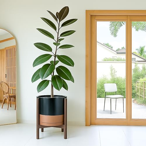 Ceramic Pot with Walnut Wood Stand (12 Inch / Black/Speckled Tan Pot + Walnut Color Stand)