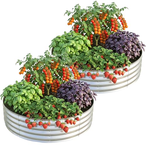 Galvanized Raised Garden Bed Kit 2x2x1 Ft Pack of 2 (Pack of 2)