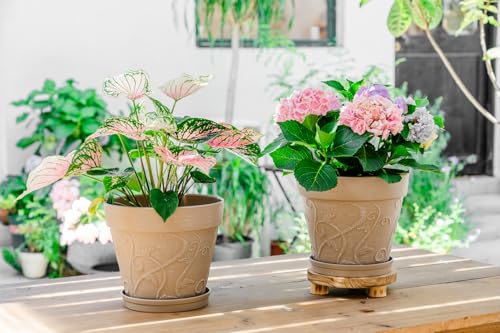 Plant Pots Indoor with Drainage & Saucer (Undecorated Pottery Color / 10 inch)