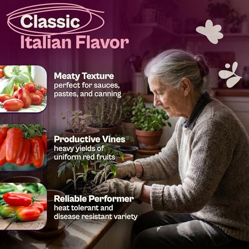 75 San Marzano Tomato Seeds
