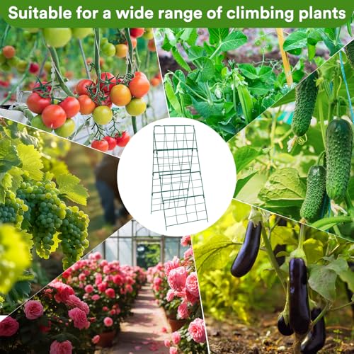17 x 42 Inch Garden Trellis for Raised Beds Foldable Climbing Plant Support Cucumber Trellis Outdoor A (17 x 42 Inch)