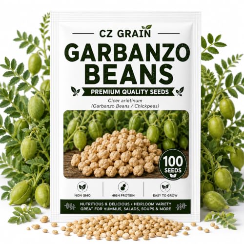 Garbanzo Bean Seeds for Planting (Garbanzo Beans)