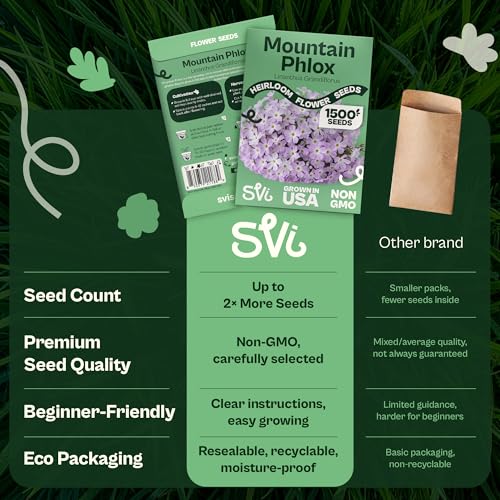 1500 Mountain Phlox Seeds