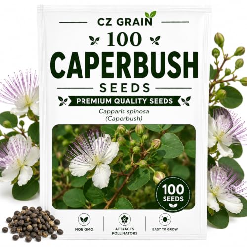 Caperbush Seeds to Grow (Caperbush)