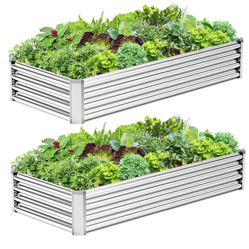 2PCS 6x3x1FT Galvanized Raised Garden Bed (6x3x1(2PCS) / Silver)