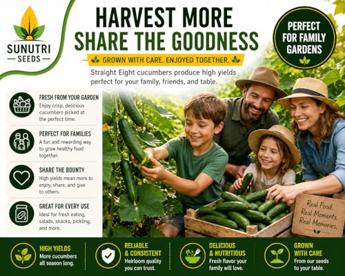 Straight Eight Cucumber Seeds for Planting