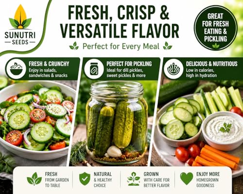 Straight Eight Cucumber Seeds for Planting