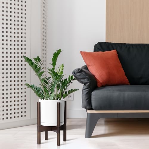 Ceramic Pot with Walnut Wood Stand (8 Inch / White Pot + Walnut Color Stand)