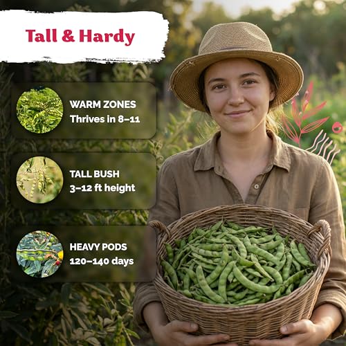 30 Guandules Pigeon Pea Heirloom Vegetable Seeds