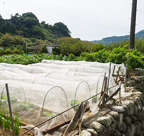 Garden Netting Bird Net 10x35Ft for Bug Protection (10'x35')