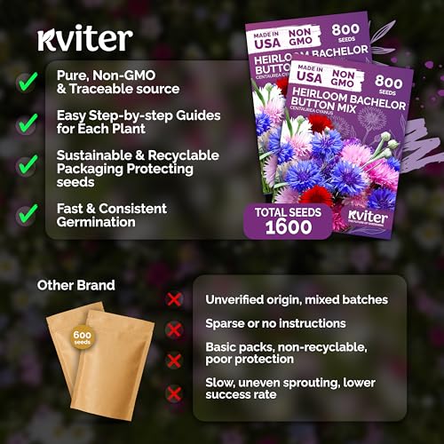 1 600 Mix Bachelor Button Heirloom Flower Seeds