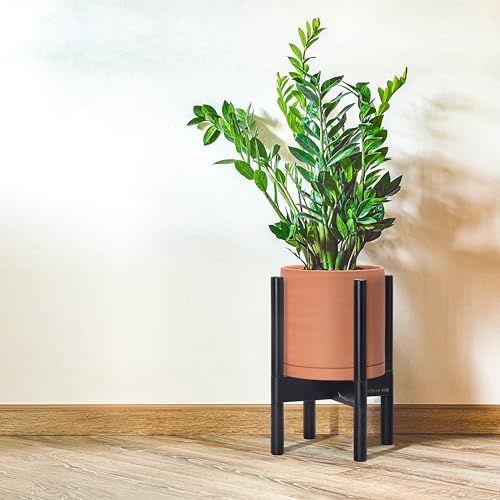 Terracotta Pot with Ebony Wood Stand (8 Inch / Terracotta Pot + Ebony Stand)
