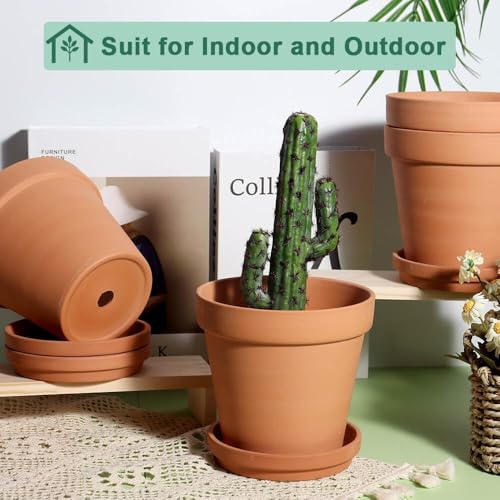 6 Inch Terracotta & Clay Pots for Plant with Saucer (Brown)