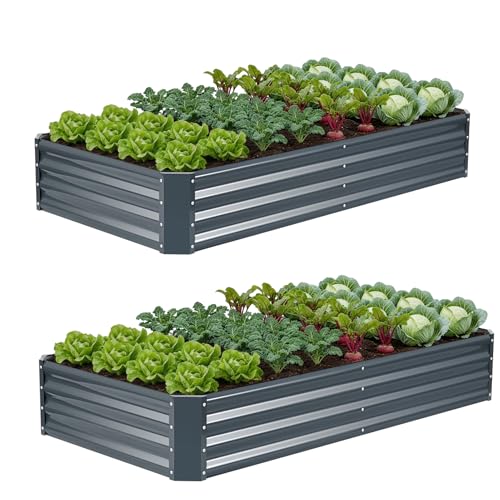 2Pack 6×3×1ft Galvanized Raised Garden Bed Kit (Irongrey / 6x3x1ft (Pack of 2))